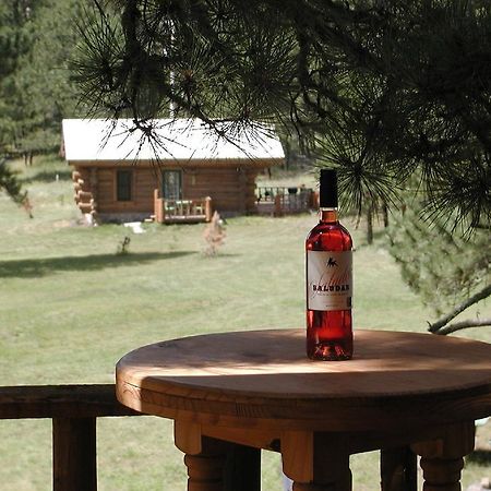 Renegade Log Cabin Custer Exteriör bild